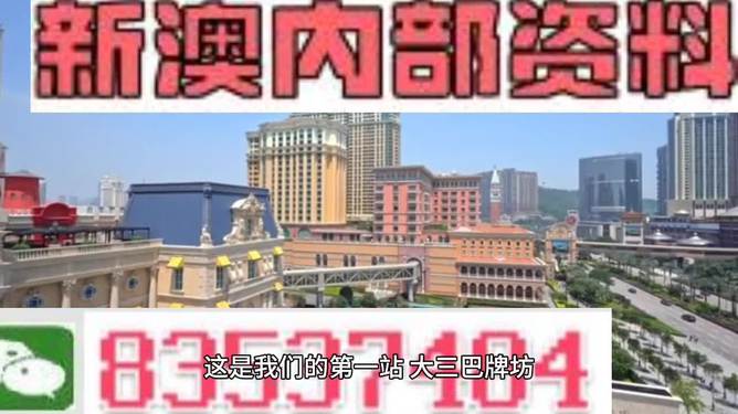 2024年新澳门和香港全年正版资料免费精准大全——精选解析、落实与策略