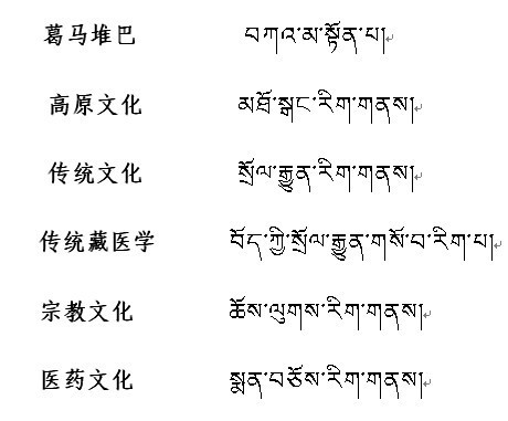 藏文翻译在线学习英语藏文翻译在线学习英语，跨文化交流的桥梁与语言技能的进阶